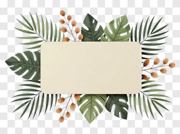 Tropical Leaves Frame With Blank Space PNG