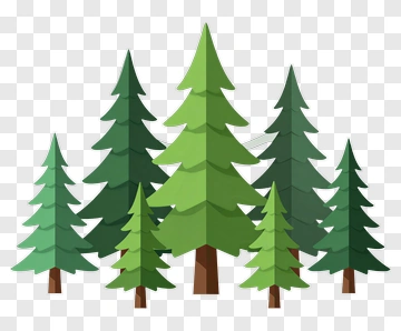 Colorful Pine Trees PNG
