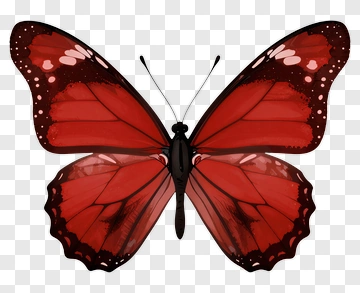 Red Butterfly PNG
