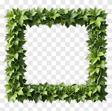 Green Leaf Frame PNG