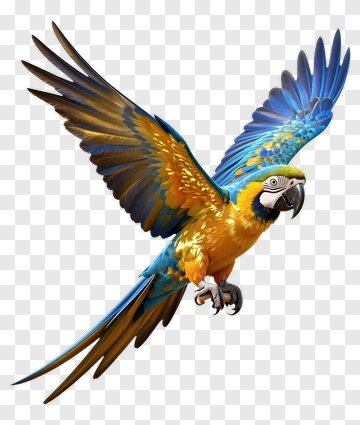 Colorful Macaw Parrot In Flight PNG