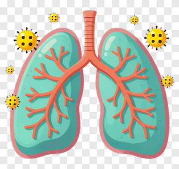 Cartoon Lungs With Viruses PNG