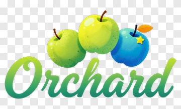 Colorful Apples In Orchard Design PNG