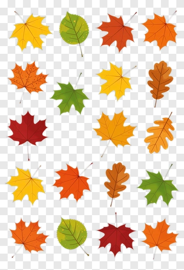 Colorful Autumn Leaves Collection PNG