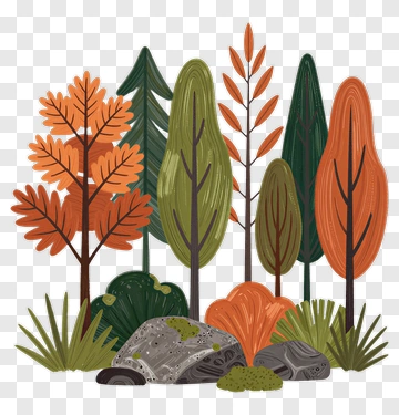 Colorful Autumn Forest PNG