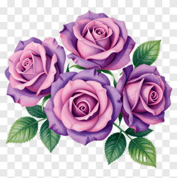Purple And Pink Rose Bouquet PNG