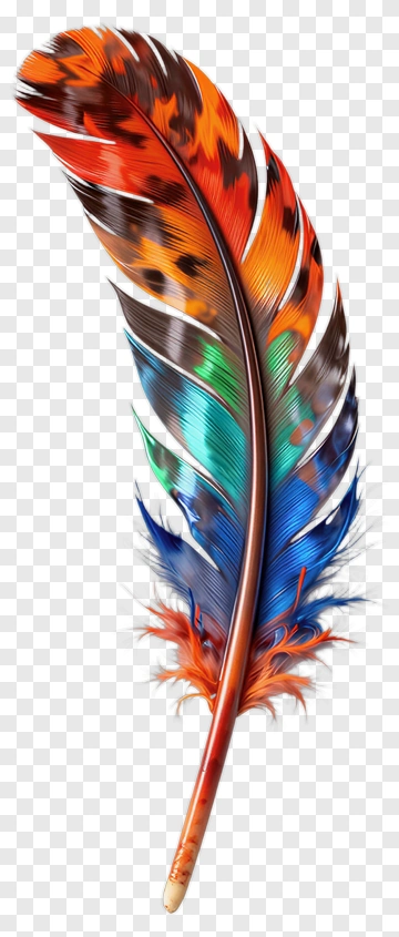 Colorful Feather PNG