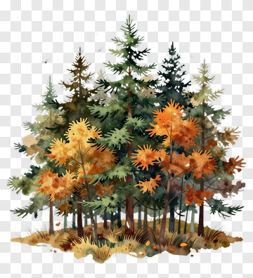 Colorful Forest With Autumn Trees PNG