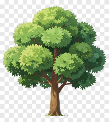 Colorful Tree PNG