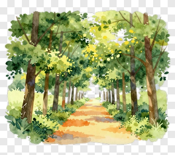 Watercolor Forest Pathway PNG