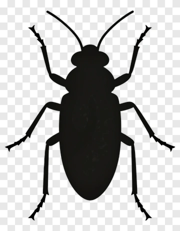 Silhouette Of A Beetle PNG