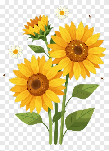 Sunflower Bouquet With Daisies PNG
