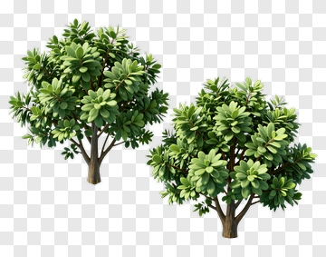 Green Trees PNG