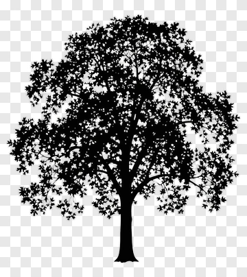 Silhouette Tree PNG