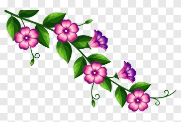 Colorful Flower Vine PNG