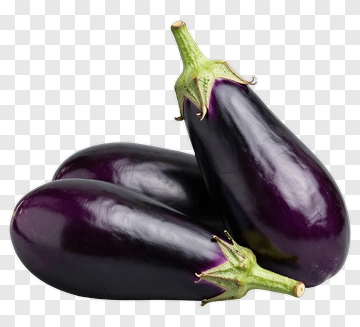 Fresh Eggplants PNG