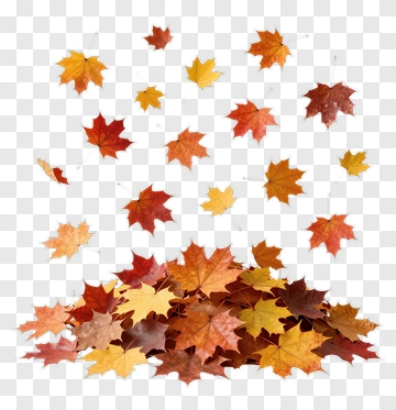 Autumn Leaves Falling PNG