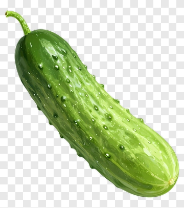 Realistic Cucumber With Water Droplets PNG