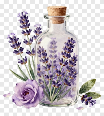 Lavender In A Glass Bottle With A Rose PNG