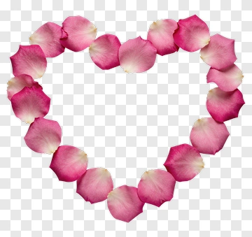 Heart Shaped Arrangement Of Pink Rose Petals PNG