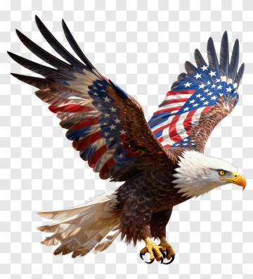 Eagle With American Flag Wings PNG