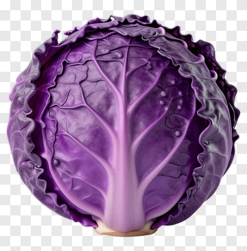 Purple Cabbage PNG