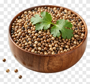 Bowl Of Coriander Seeds With Fresh Leaves PNG