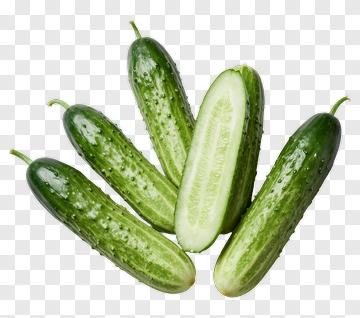 Fresh Cucumbers PNG
