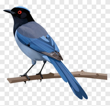 Blue Bird Perched On A Branch PNG