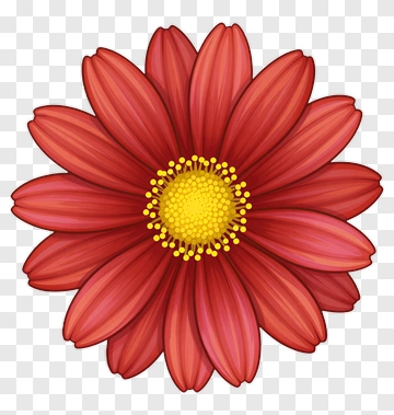 Red Flower With Yellow Center PNG