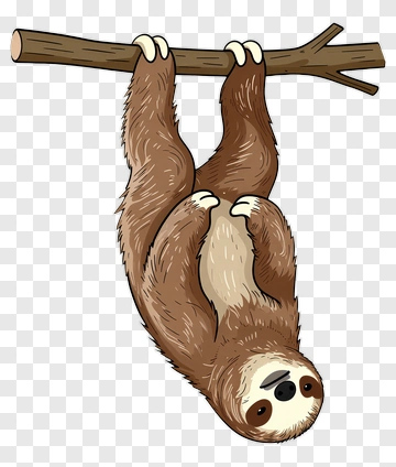 Cartoon Sloth Hanging From A Branch PNG
