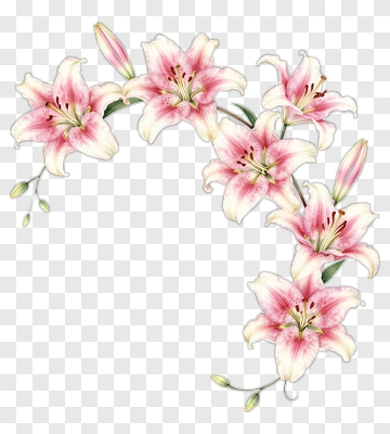 Pink Lily Flower Arrangement PNG