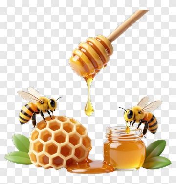 Honey Jar With Bees And Honeycomb PNG