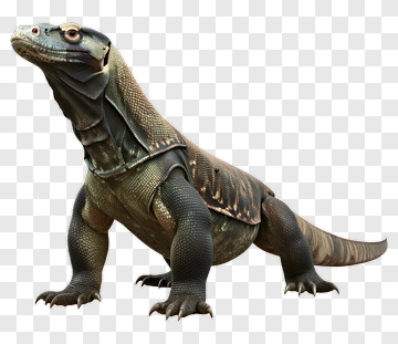 3D Komodo Dragon PNG