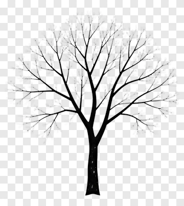 Black Tree Without Leaves PNG