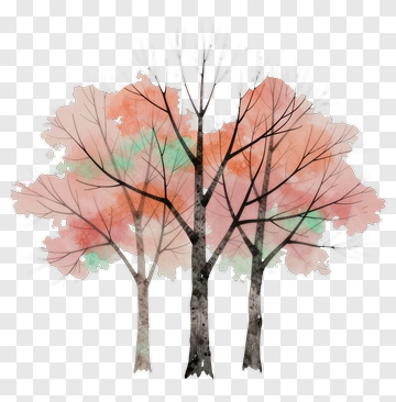 Colorful Tree PNG