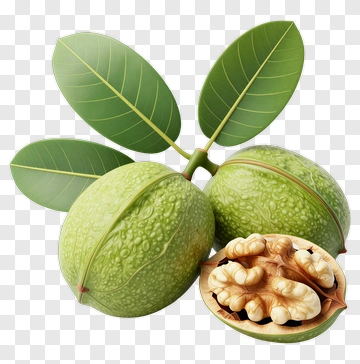 Walnuts With Green Shells And Leaves PNG