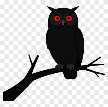 Cartoon Black Owl Sitting On A Branch PNG