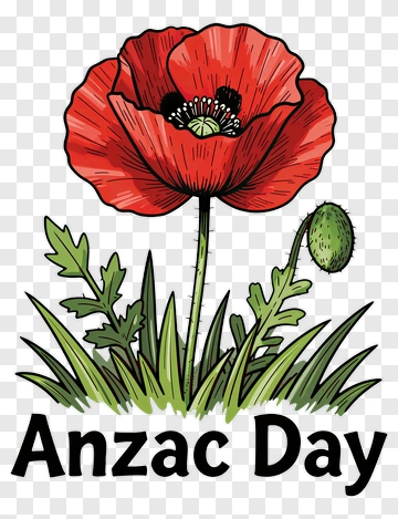 Red Poppy For Anzac Day PNG