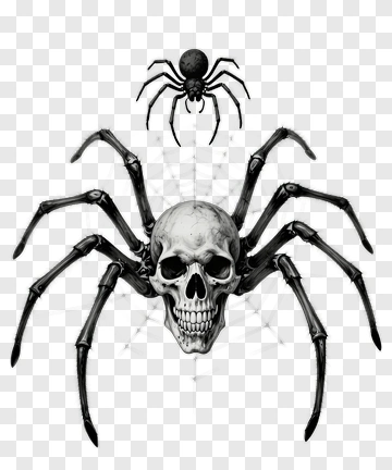 Skull Spider With Smaller Spider Above PNG