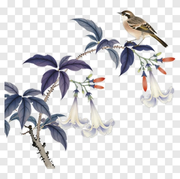 Bird Perched On A Flowering Branch PNG