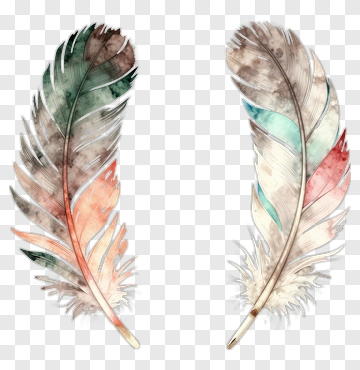 Colorful Watercolor Feathers PNG