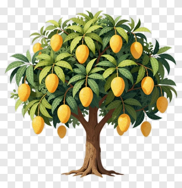 Mango Tree With Ripe Fruits PNG