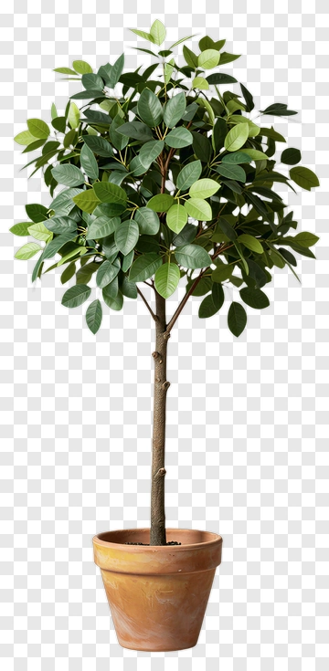Felt Tree In A Pot PNG