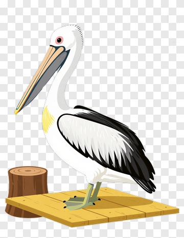 Cartoon Pelican Standing On A Wooden Platform PNG