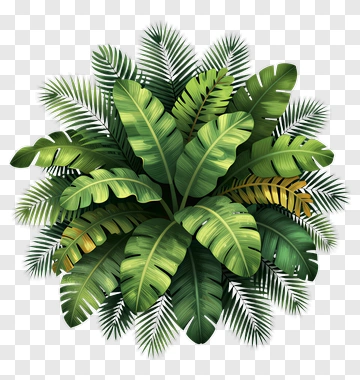 Tropical Greenery Arrangement PNG