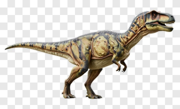 Realistic Tyrannosaurus Rex Dinosaur PNG