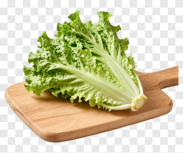 Fresh Lettuce On A Wooden Cutting Board PNG