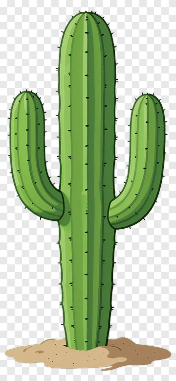 Green Cactus PNG