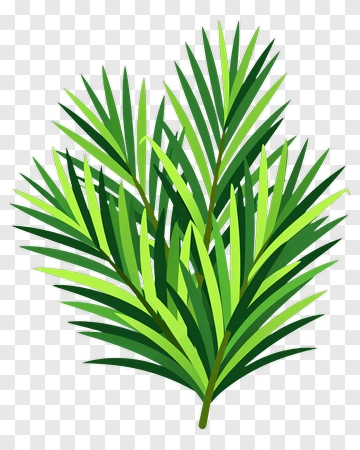 Colorful Palm Leaves PNG